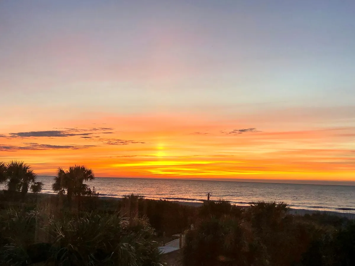A breathtaking sunset over the ocean, with silhouettes of palm trees and a tranquil beach in the foreground. The scene is calm and picturesque, evoking peaceful walks and meditative moments by the water.